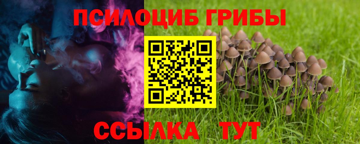 Галлюциногенные грибы MAGIC MUSHROOMS Ухта